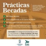 El Ayuntamiento de El Cuervo lanza prácticas becadas para personas con discapacidad intelectual