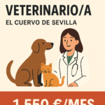 Oferta de empleo: Se busca veterinario/a para clínica en El Cuervo de Sevilla