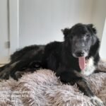 Nuestra labor, nuestra lucha