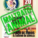 PACMA denuncia la suelta de vaquillas en un “Gran Prix” en El Cuervo de Sevilla