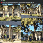 El PSOE de El Cuervo critica la poda de árboles en el colegio Ana Josefa Mateos en plena vuelta al curso