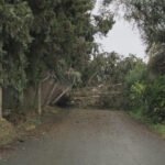 La borrasca Leonardo deja incidencias leves y cortes eléctricos puntuales en zonas rurales de El Cuervo