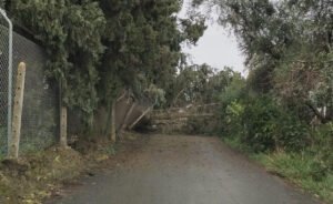 La borrasca Leonardo deja incidencias leves y cortes eléctricos puntuales en zonas rurales de El Cuervo