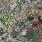 El Ayuntamiento de El Cuervo de Sevilla aprueba inicialmente el Inventario de Arbolado Municipal